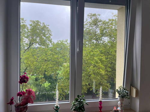 Blick aus Fenster 3 OG - 
