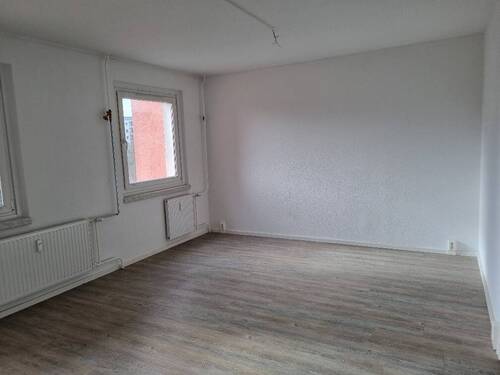 20260331_165422_resized.jpg - 