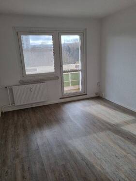 20260331_165437_resized.jpg - 