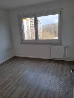 20260331_165452_resized.jpg - 