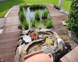 Teich mit Teichlauf & Fischen - 