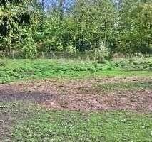 90c038c2-d663-4911-9f7e-d79b1d893635-1769829810.jp - Mehrfamilienhaus, Wohnhaus mit 390,00 m² in Teuchern zum Kaufen