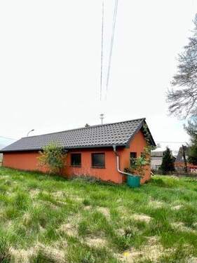 IMG_0810 Mittel.jpeg - 