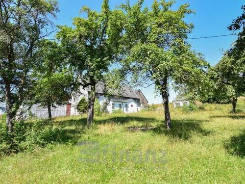 Wiese - 