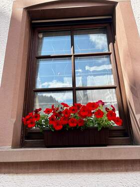 WhatsApp Image 2025-07-30 at 09.41.50 (4).jpeg - 