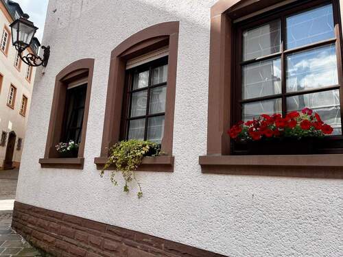 WhatsApp Image 2025-07-30 at 09.41.50 (5).jpeg - 