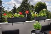 Balkon 1 - 