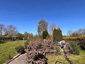 Garten - 