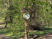 Niendorfer Gehege - 