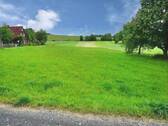Wiese - 