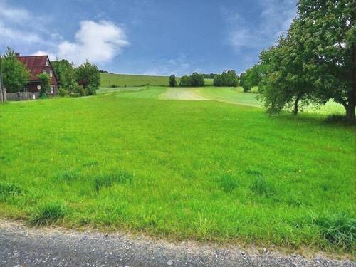 Wiese - 