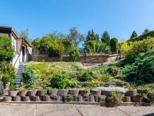 Garten - 