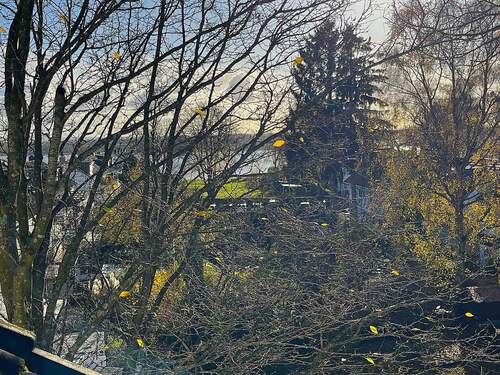 sogar bis zur Elbe - 