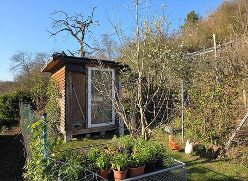 Platz für Ihre Hühner mit viel Möglichkeiten für Auslauf und Frische Luft_#141647 - 