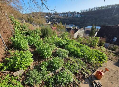 Platz für Ihren Kräutergarten oder Ihr Gemüsebeet_#141318 - 
