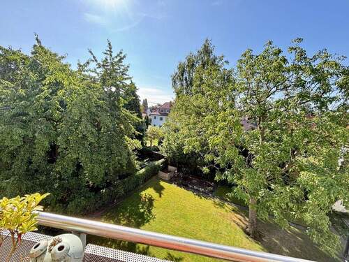 Blick in den Gemeinschaftsgarten - 