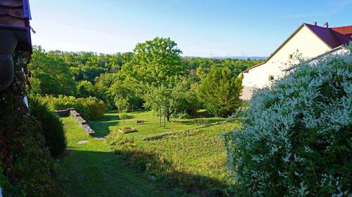 Blick ins obere Drittel des Grundstücks Bliickrichtung Süd - Baugrundstück in beliebtem Erfurter Ortsteil Rhoda. Aussergewöhnlich in jeder Hinsicht