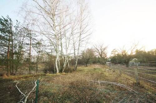 Blick auf das Grundstück - Grundstück zum Kaufen in Kemberg