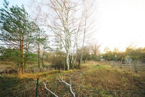 Blick auf das Grundstück - Grundstück in Kemberg