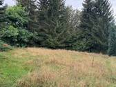 obere Wiese - 