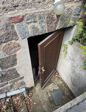 Keller-Außentür - 