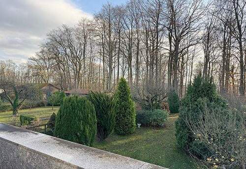 Weitblick über das Grundstück mit „Waldanschluss“ - 