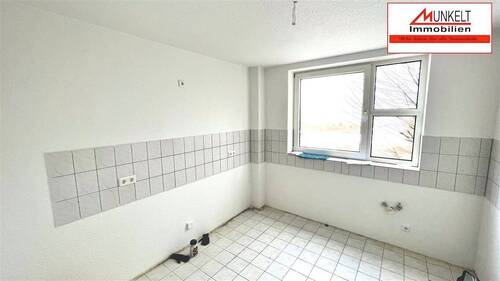 Kochen - 