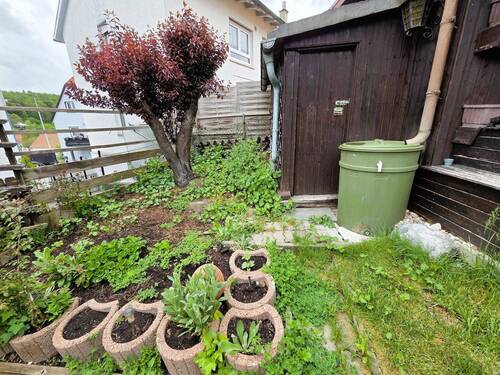 Gemüsegarten - 