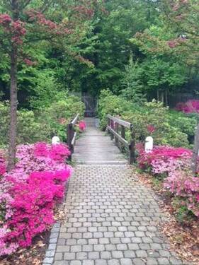 Waldpark-Zugang - Büro mit 96,00 m&sup2; in Dresden zur Miete