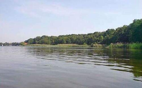 Bild 1 - Nähe Habermannsee Attraktives Einfamilienhaus mit großem Grundstück und Erweiterungspotenzial