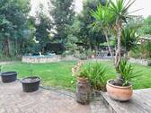 Blick von Terrasse - 