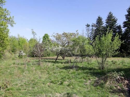 Gartenland - 