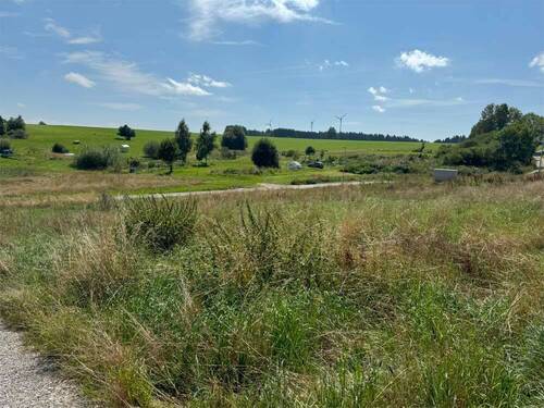 Blick Richtung Südosten - Grundstück in Obergünzburg / Ebersbach