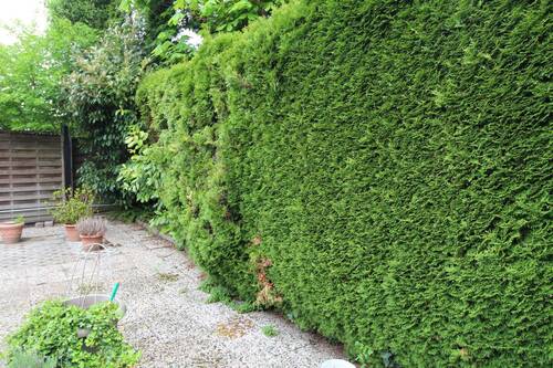 Garten - 
