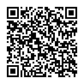 QR-Code - 