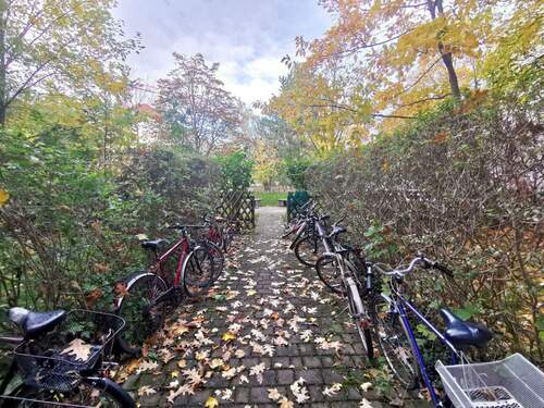 Großer grüner Hinterhof - 