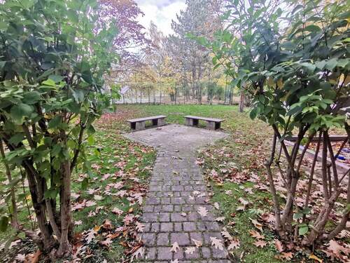 Großer grüner Hinterhof - 