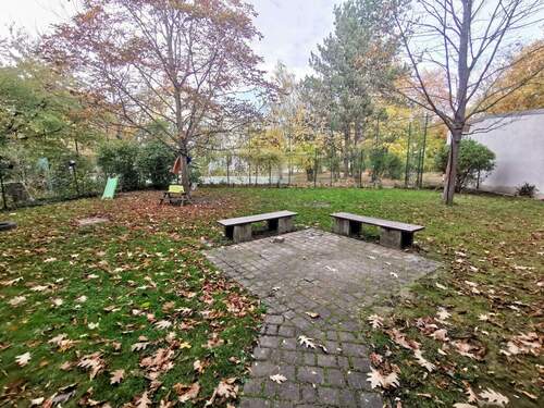 Großer grüner Hinterhof - 