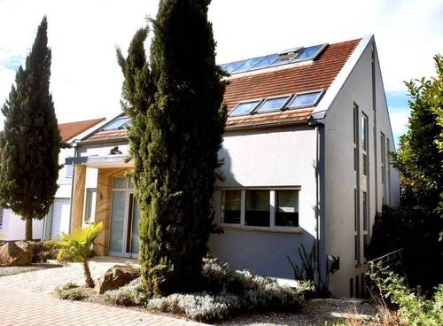 Vorderansicht - 7 Zimmer Einfamilienhaus in Mainz