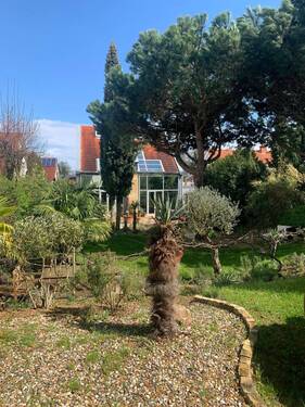 Gartenansicht - Einfamilienhaus mit 330,00 m&sup2; in Mainz zum Kaufen