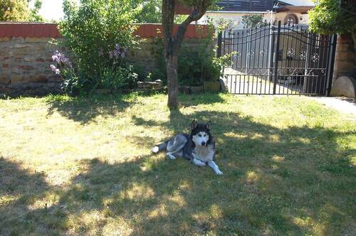 Hintere Ein-Ausfahrt - 