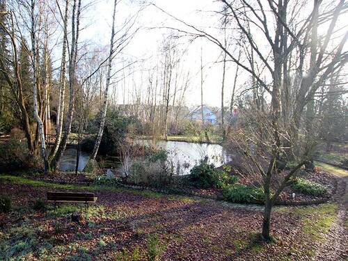 Parkanlage mit Teich - 