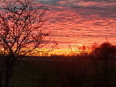 Eiderstedter Sonnenuntergang - 