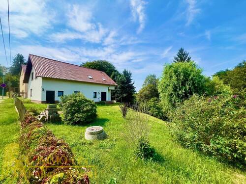 Gartenbereich (NO) - 8 Zimmer Einfamilienhaus zum Kaufen in Bad Muskau