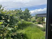 Blick in den Garten - 