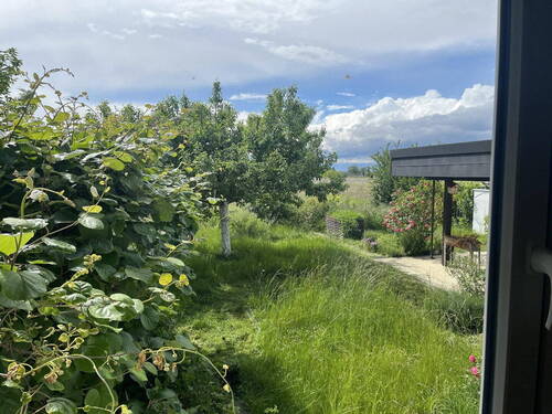 Blick in den Garten - 