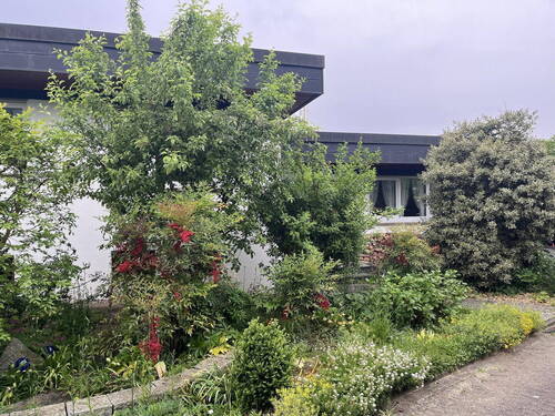 Vorderseite (Frühjahr) - 5 Zimmer Einfamilienhaus in Staufen