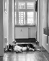Flur - 