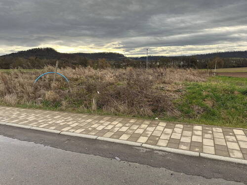 Bild 2 - Grundstück zum Kaufen in Beilstein