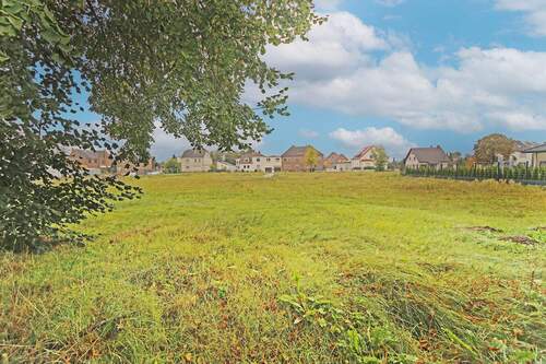 Grünfläche hinter dem Grundstück - 